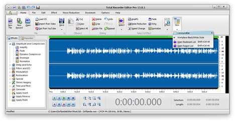 total recorder windows.